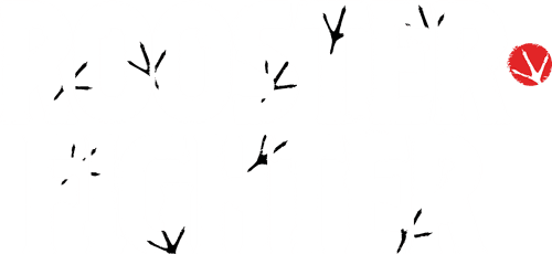 Rooster Fighter