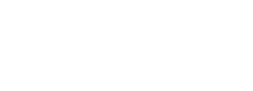 The Outlaws