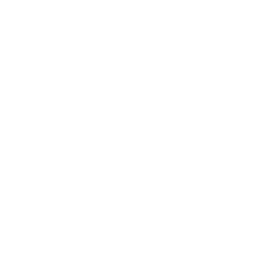 The Cat