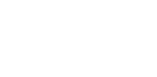 Berlin Station