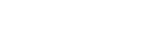 The Virgin Suicides
