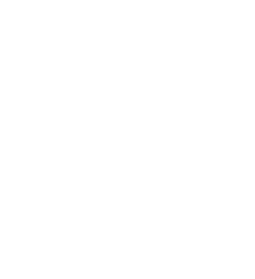 F/X