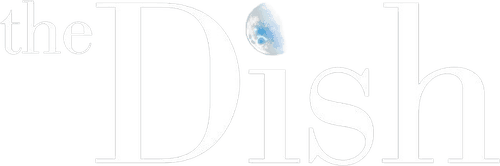 The Dish