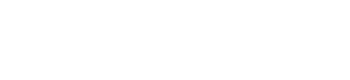 The Inspection