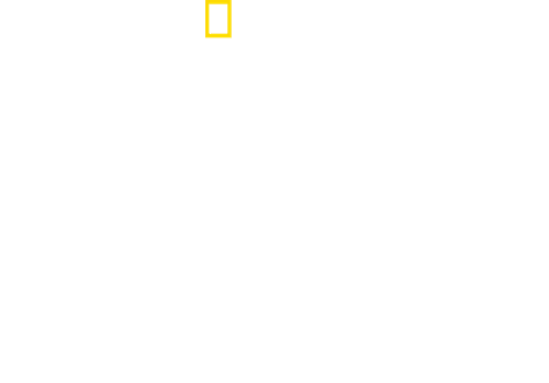 Drugs, Inc.