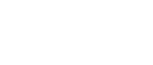 The Substitute