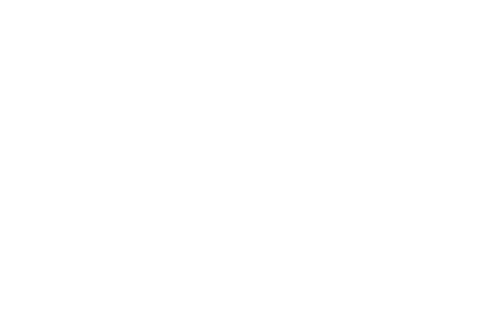 Lost in the Night