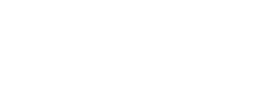 Fading Gigolo