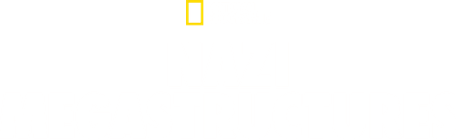 Nazi Megastructures