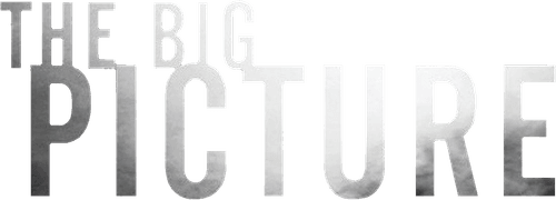 The Big Picture