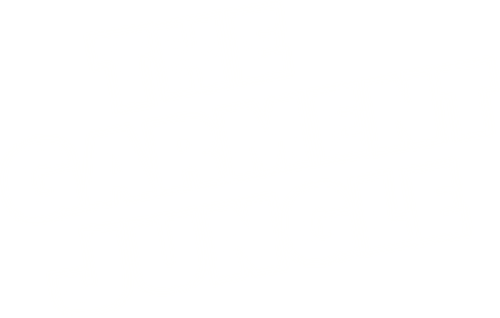 The Garment Jungle