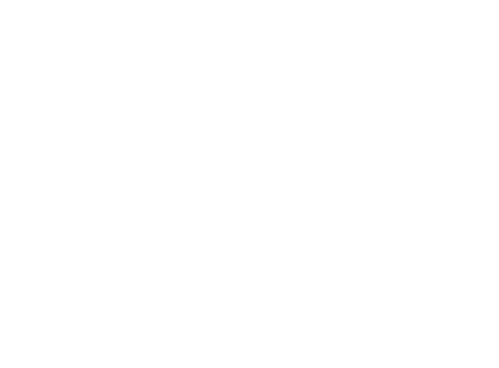 Ashes of Love