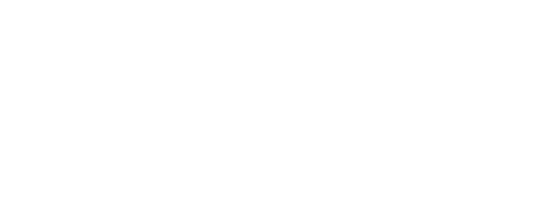 Fisk