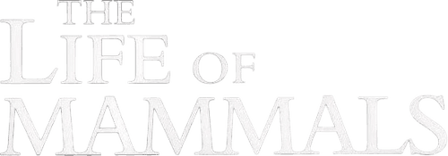 The Life of Mammals