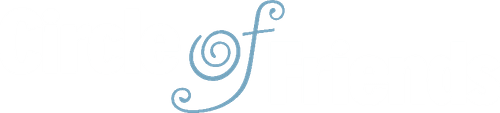 Circle of Friends