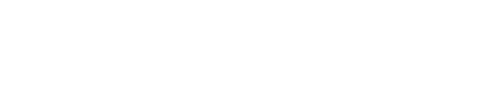 The Witness