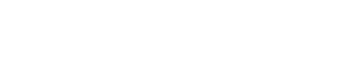 The Assassin