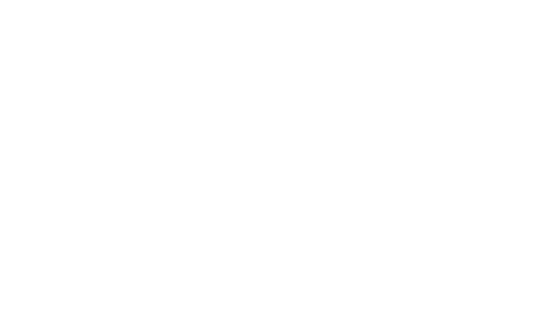 No Bears