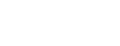The Snail and the Whale