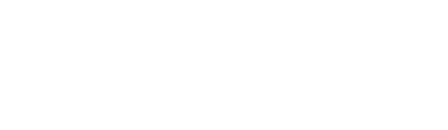 The Chef Show