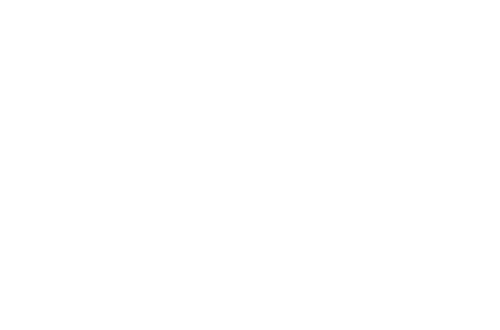 Pancho Villa: The Centaur of the North