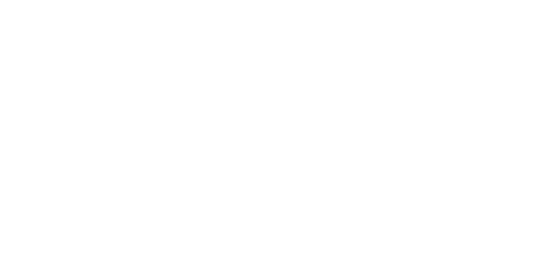 Blue Jay