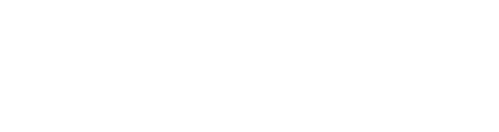 The Twins Effect