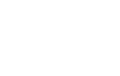 Junior Bonner