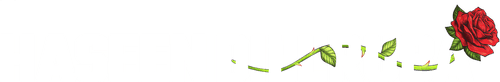 Haseen Dillruba