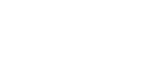 Art of Eight Limbs