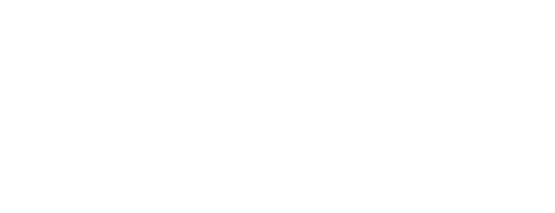 The Storm Warriors