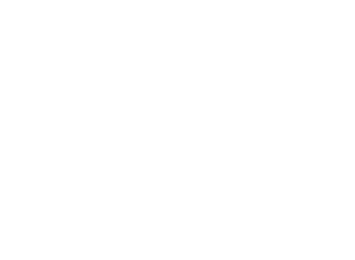 The Wolf