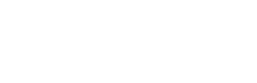 The Student