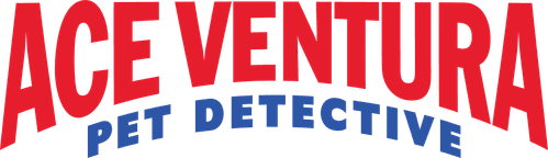Ace Ventura: Pet Detective