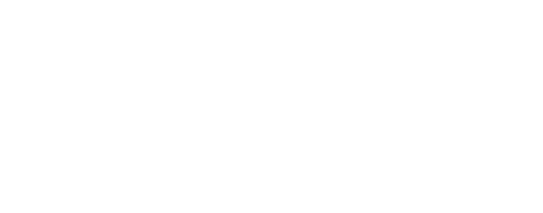 The First 48