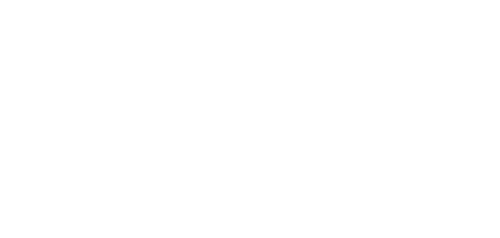 The Cleaning Lady