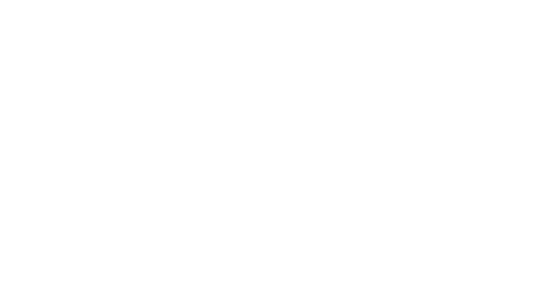 The Man Who Fell to Earth