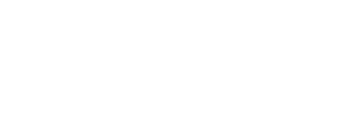 The Assassin