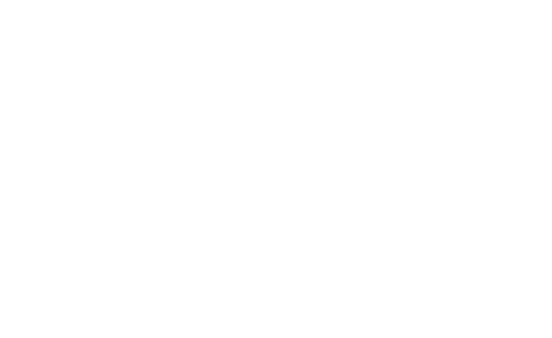Rebel Without a Cause