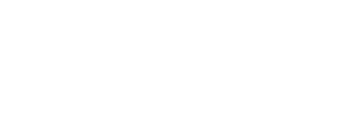 The Big Wedding