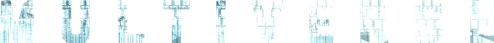 Multiverse