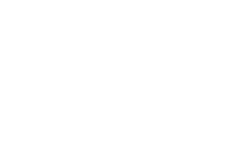 Cake Boss