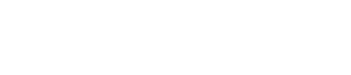 The Completely Made-Up Adventures of Dick Turpin