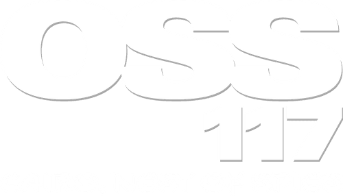 OSS 117: Cairo, Nest of Spies