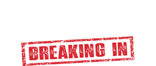 The Bad Guys: The Series