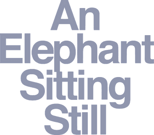 An Elephant Sitting Still