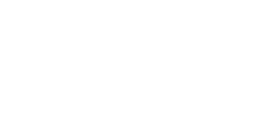 The Circus