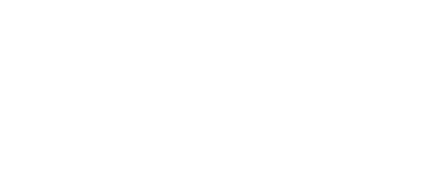 Rogue Male