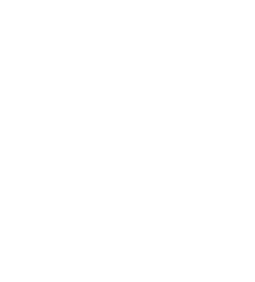 The Elizabeth Smart Story
