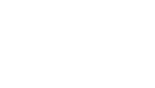 Johnny Apollo